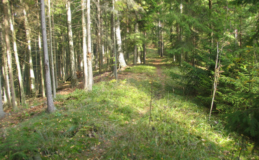 2_Targių ozai.jpg